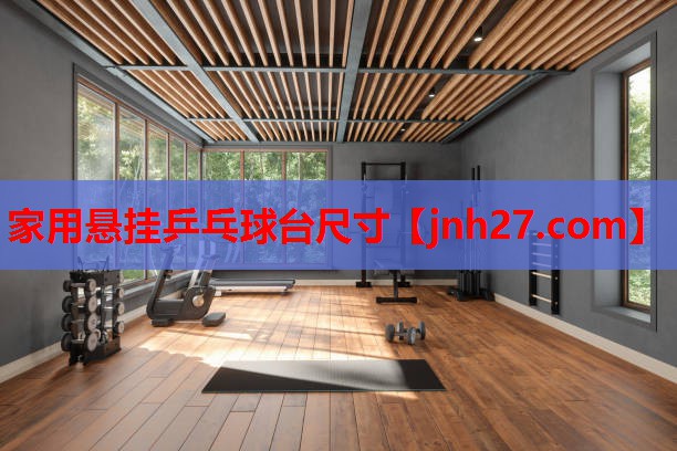 家用悬挂乒乓球台尺寸